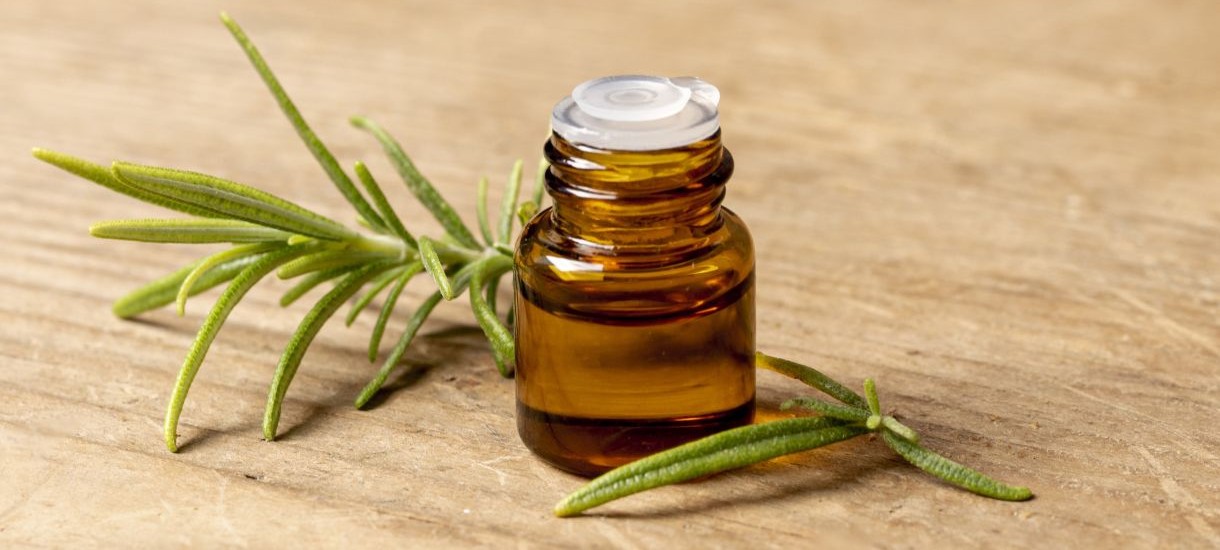 rosemary essential oil