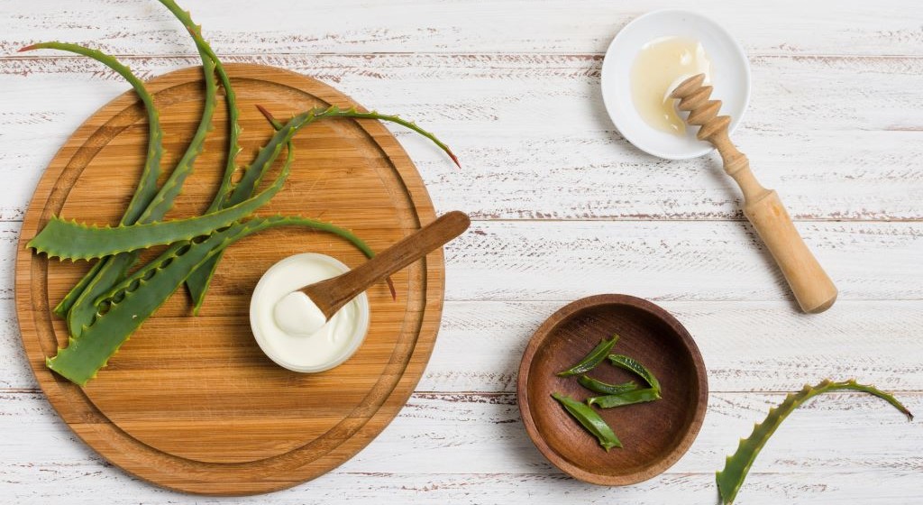 aloe vera and honey for mask