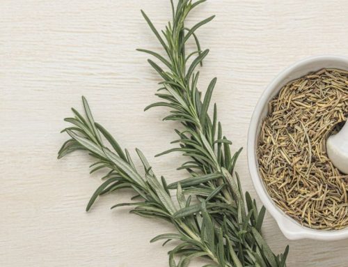 Unlocking the power of rosemary: 4 unique ways to transform your hair